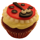 Lady Bug